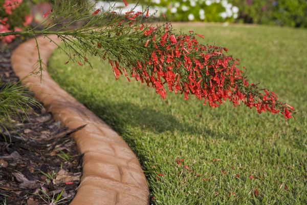 Brick Edging in Glen Burnie