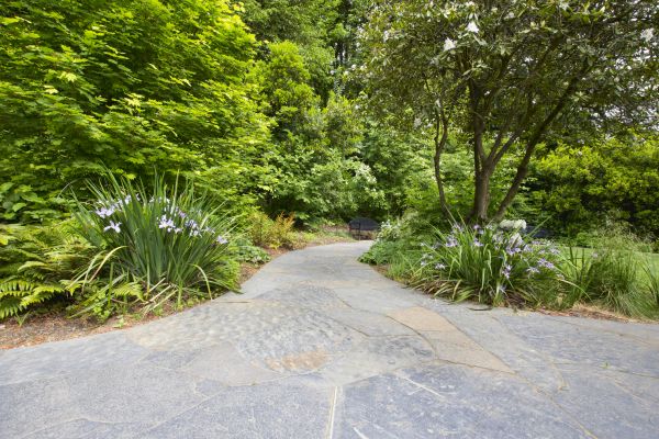 Stone Hardscape Service in Glen Burnie